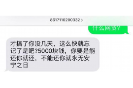 殷都殷都的要账公司在催收过程中的策略和技巧有哪些？